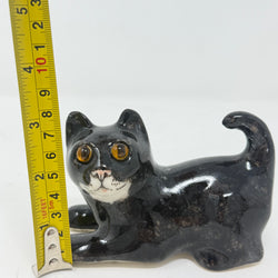Winstanley Black & White Playful Cat - Size 1