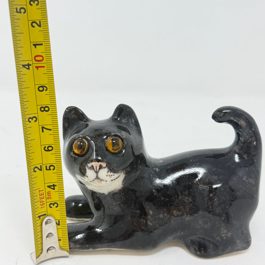 Winstanley Black & White Playful Cat - Size 1