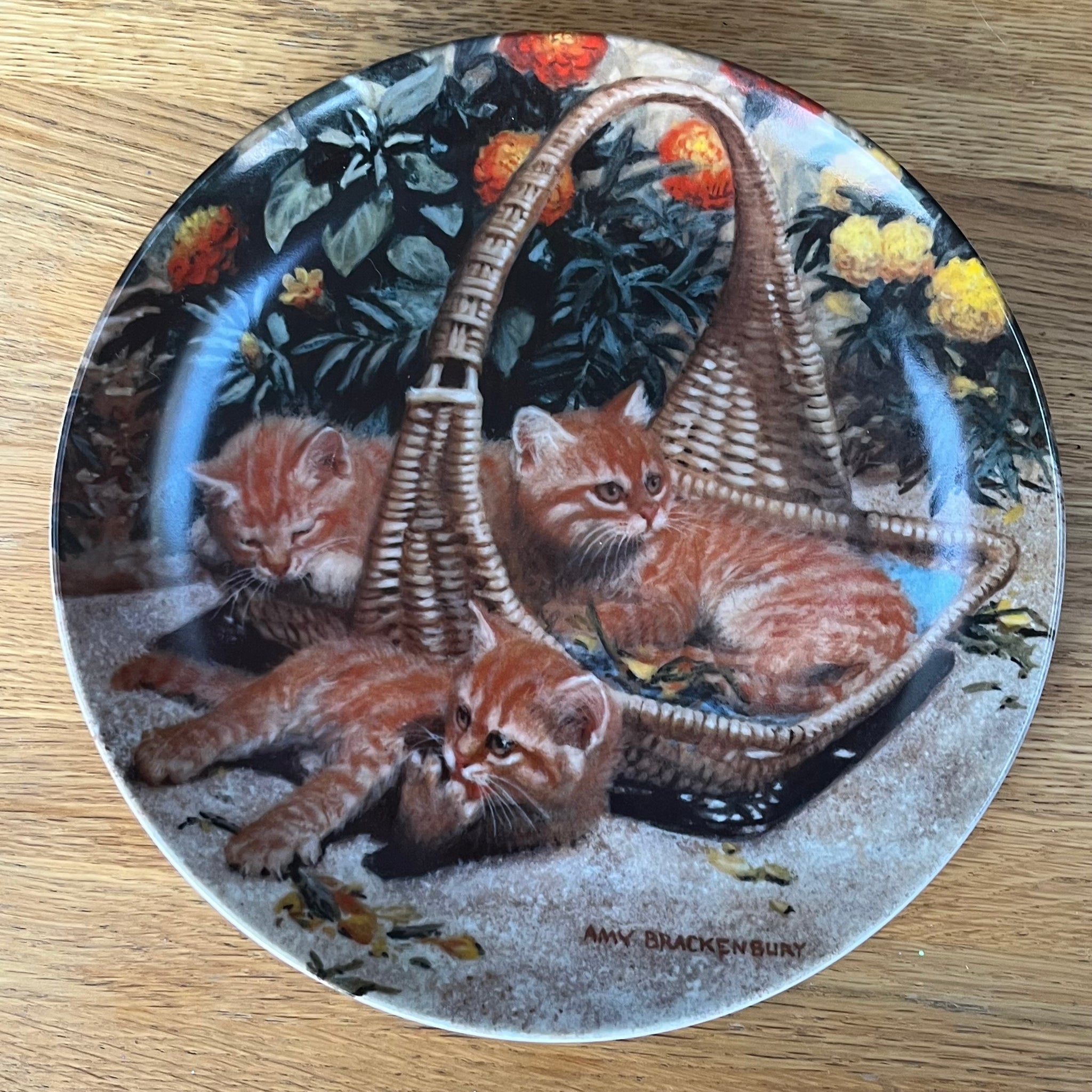 Vintage Plate Flower Bed: British Shorthairs by Knowles China