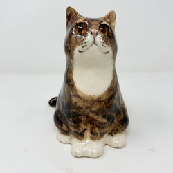 Winstanley Chubby Tabby & White Cat - Size 3