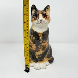 Winstanley Tortie Cat Sitting Up - Size 3