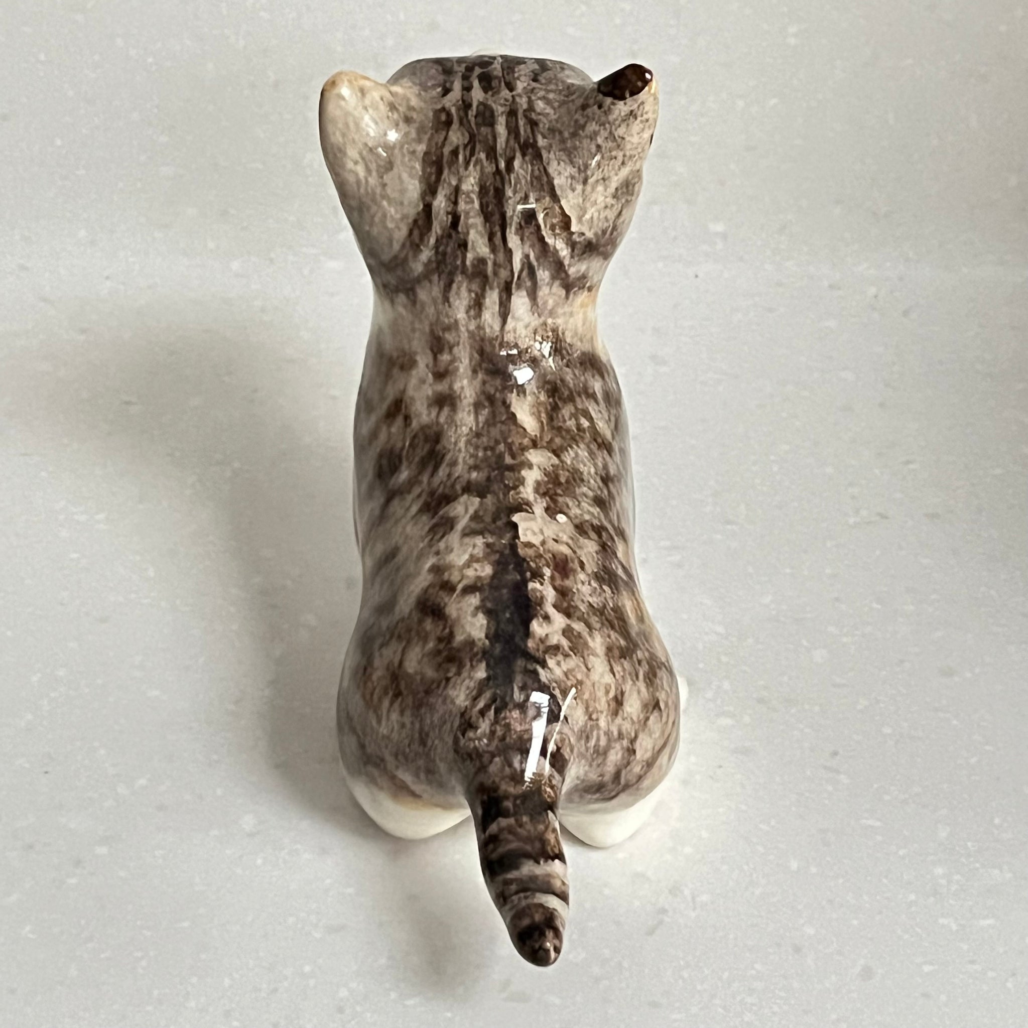 Winstanley Tabby and White Cat - Size 2