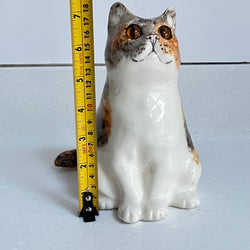 Winstanley Chubby Tortie - Size 3