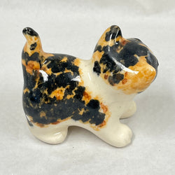 Winstanley Tortie & White Kitten - Size 1