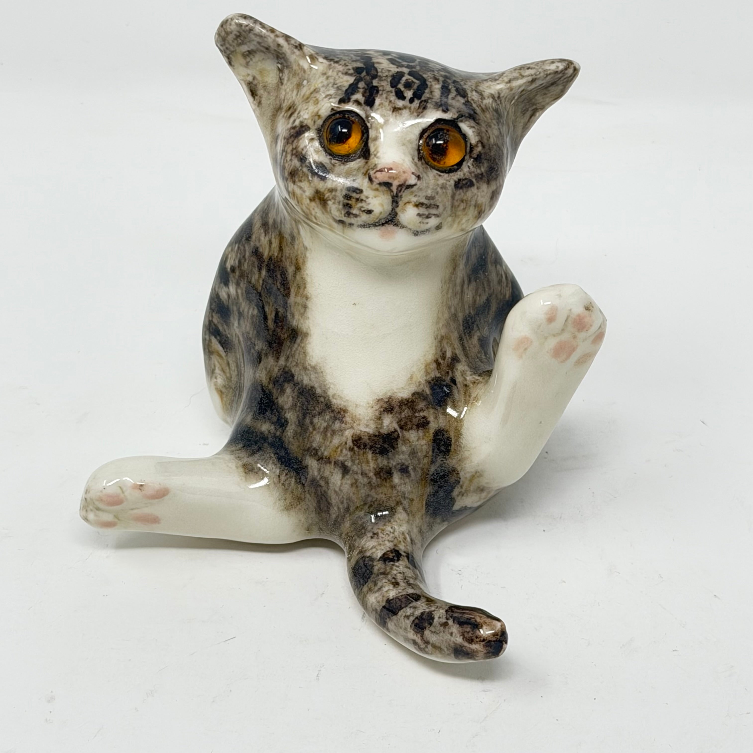 Winstanley Tabby Cat White Paws Size 2