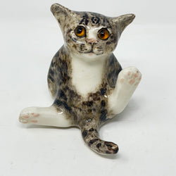 Winstanley Tabby Cat White Paws Size 2