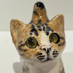 Tortie / Tabby Winstanley Cat - Size 1