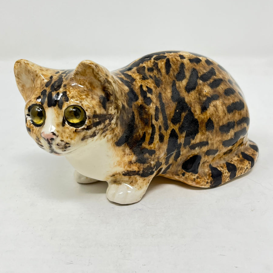Winstanley Bengal Style Tabby & White - Size 2