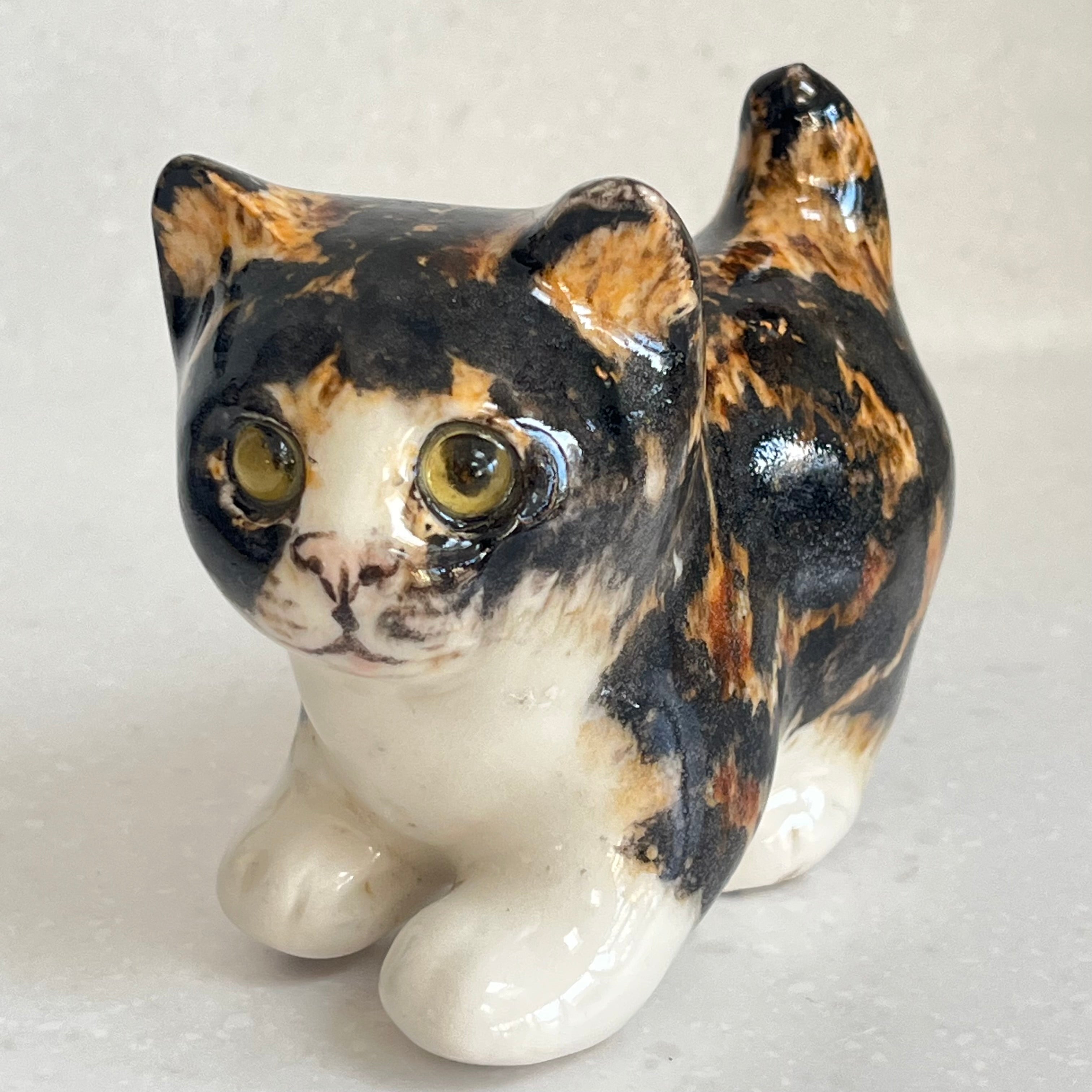 Winstanley Tortie and White Kitten - Size 1