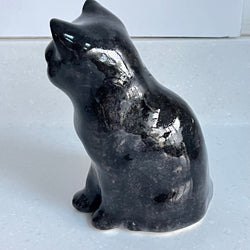 Winstanley Black Cat - Size 2