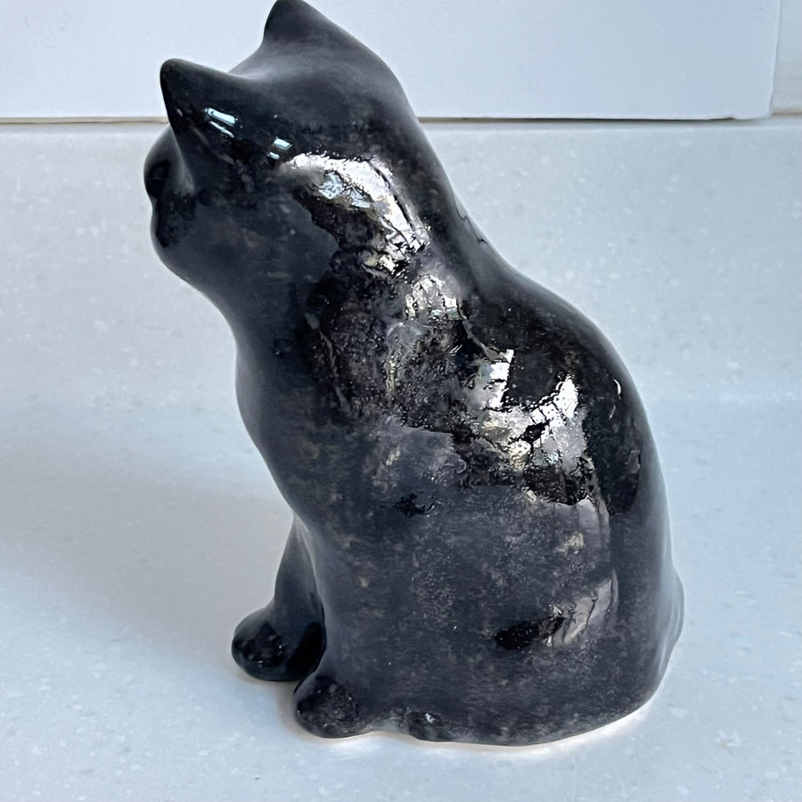 Winstanley Black Cat - Size 2