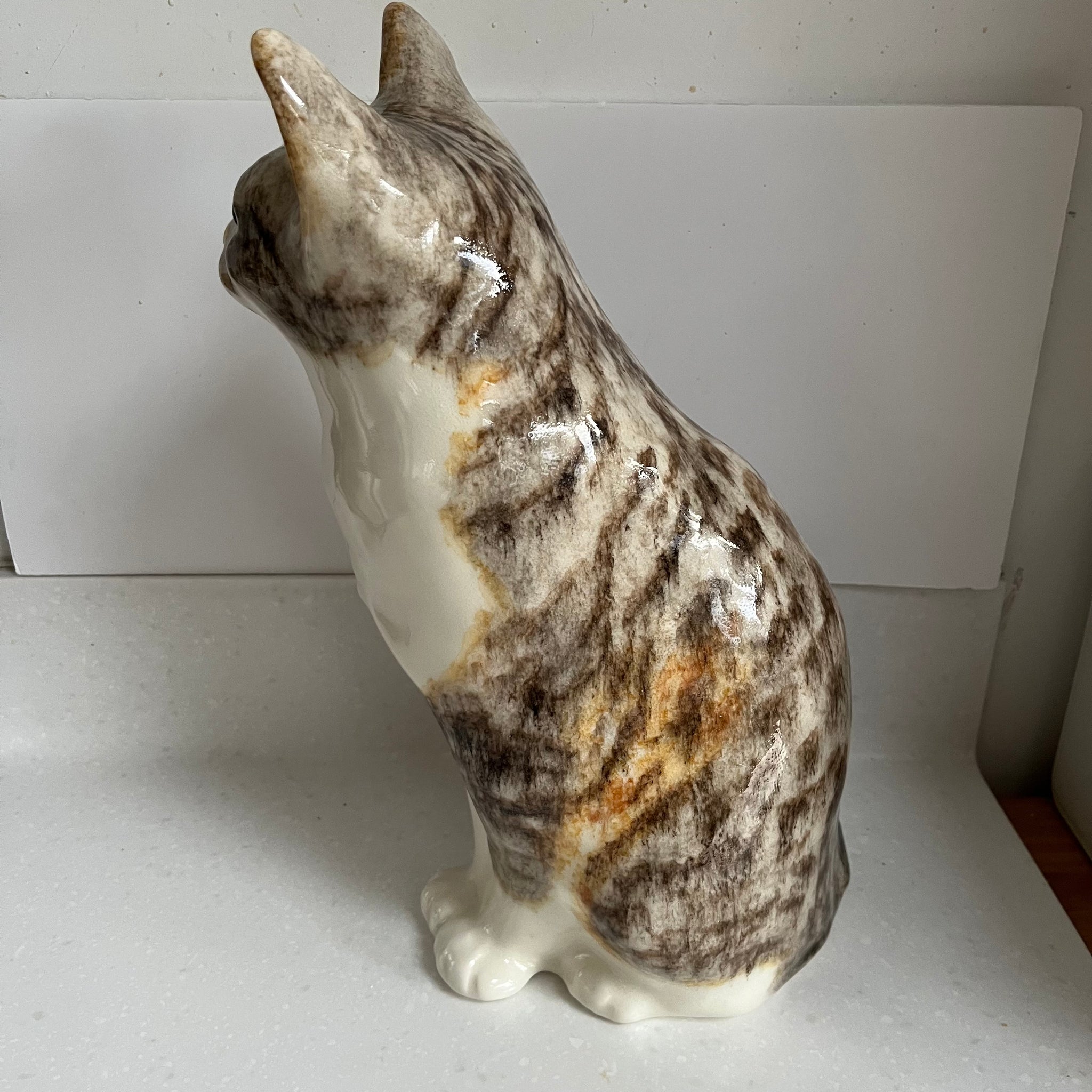Winstanley Tabby Cat - Size 7