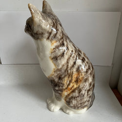 Winstanley Tabby Cat - Size 7