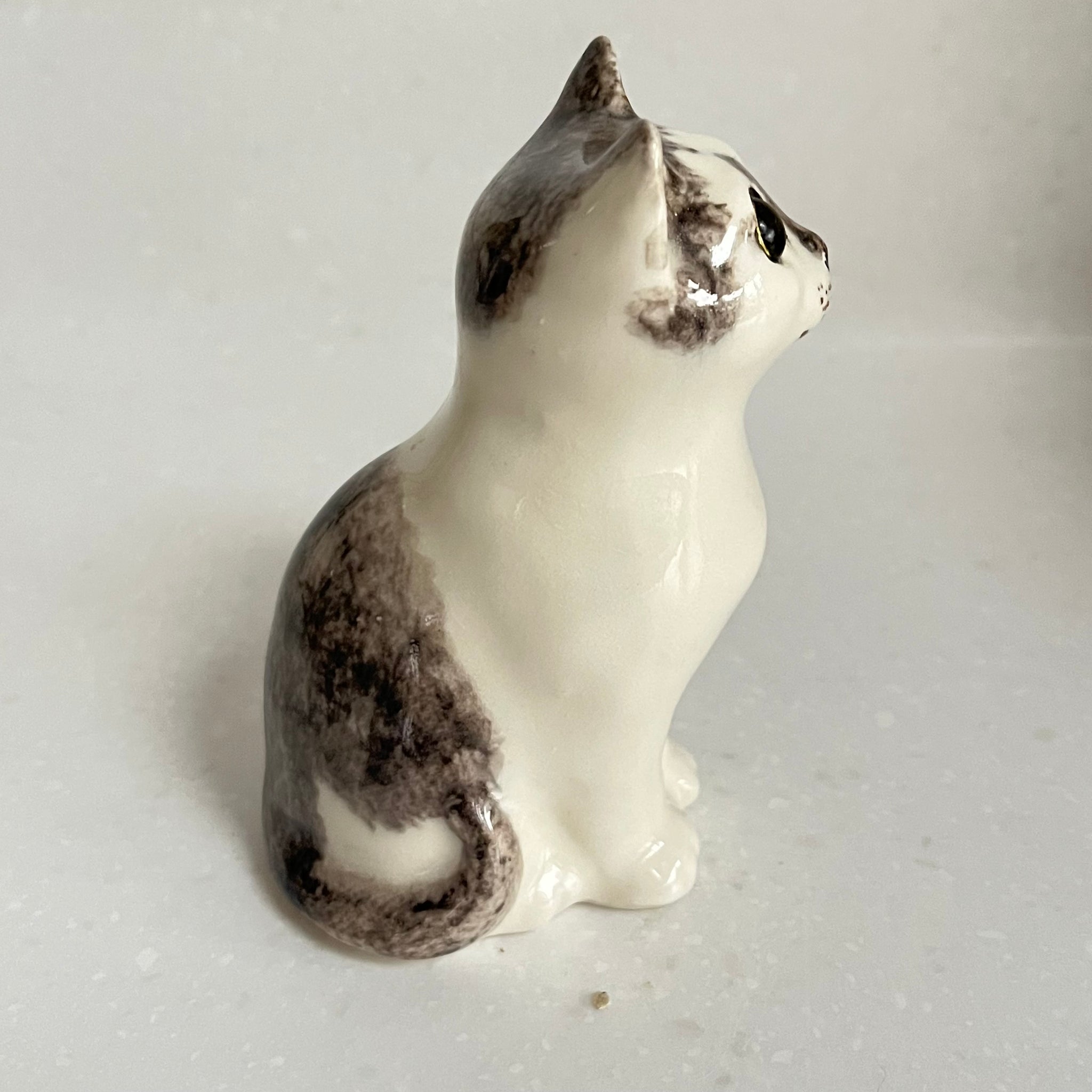 Winstanley Grey and White Kitten - Size 1