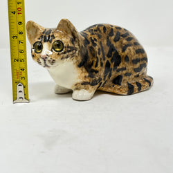 Winstanley Bengal Style Tabby & White - Size 2
