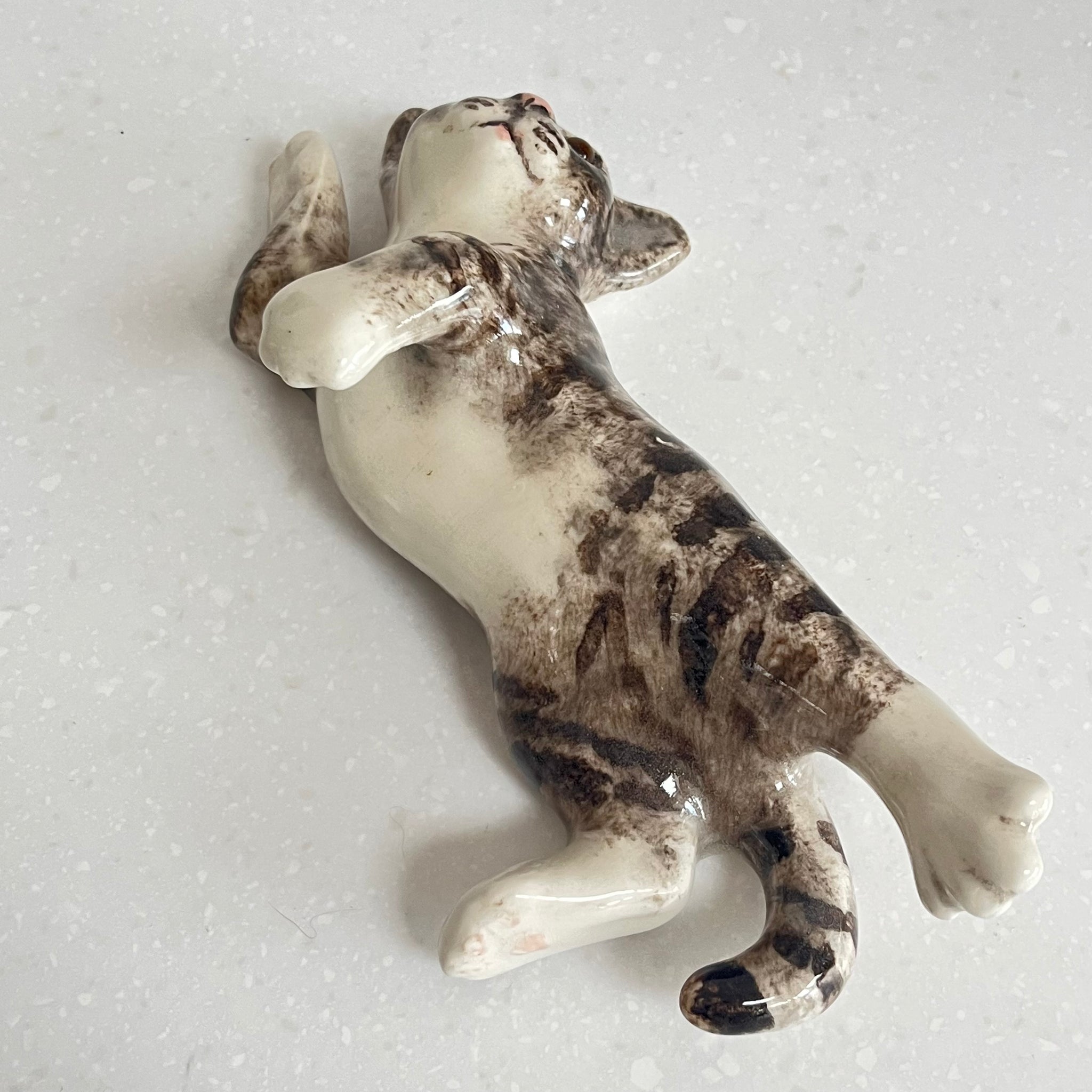 Winstanley Playful Grey and White Cat - Size 2