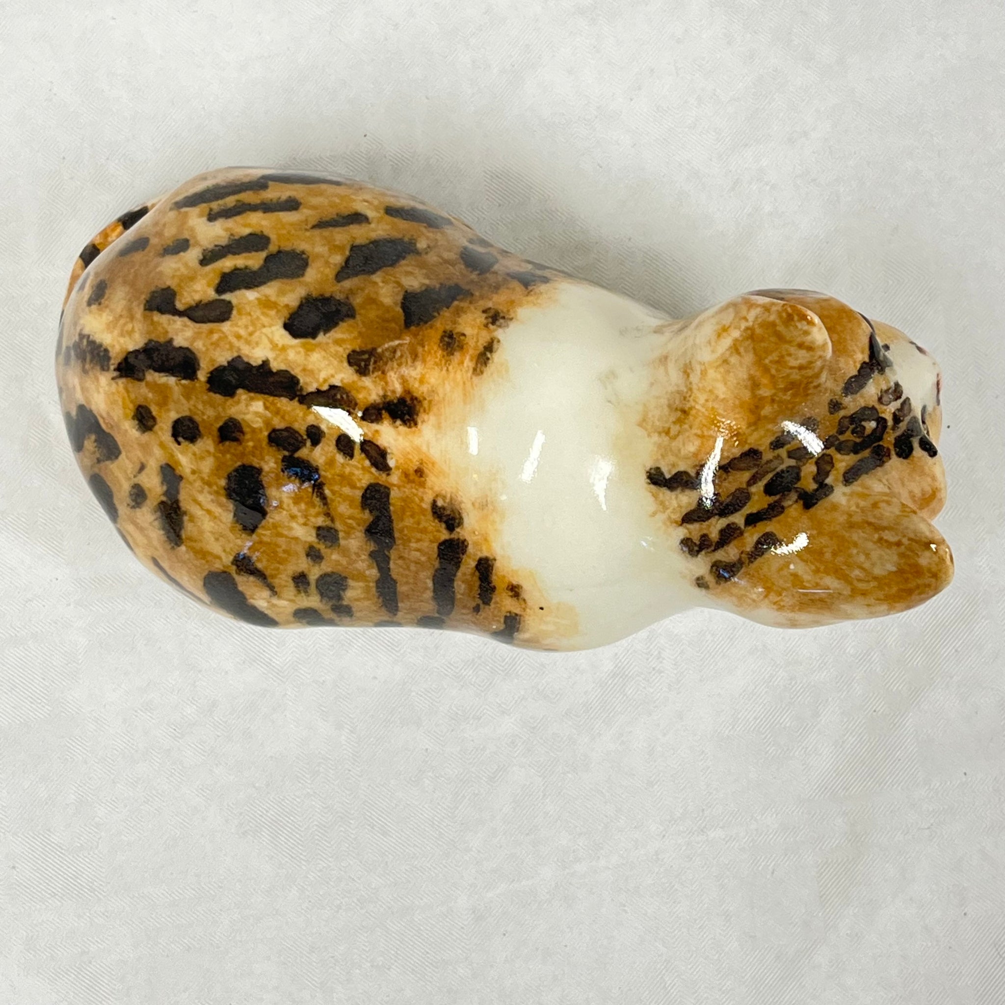 Winstanley Tortie & White Cat Crouching - Size 2