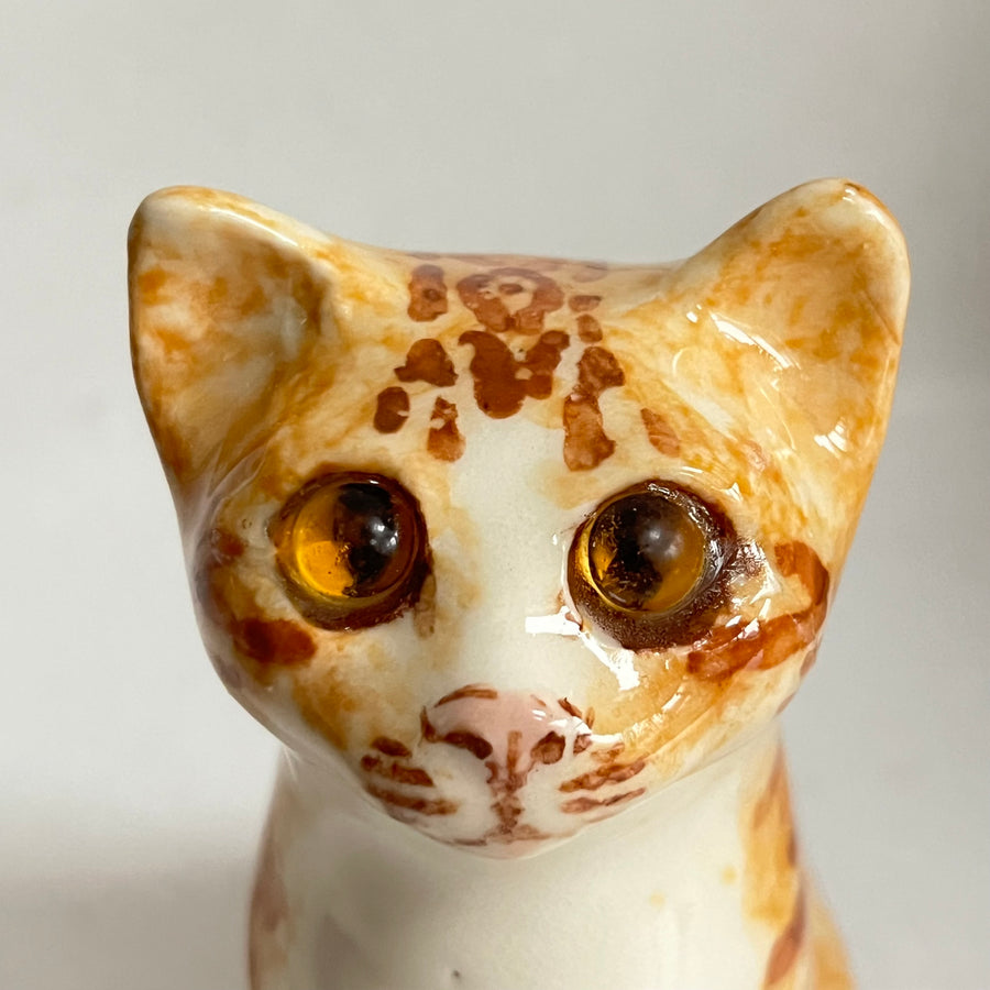 Winstanley Ginger and White Kitten - Size 1