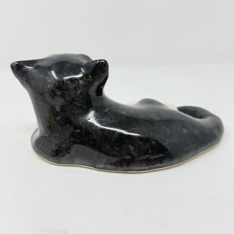 Winstanley Black & White Cat Lying Size 2