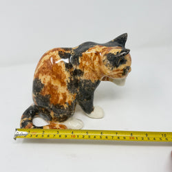 Winstanley Tortie Cat Licking Paw - Size 3