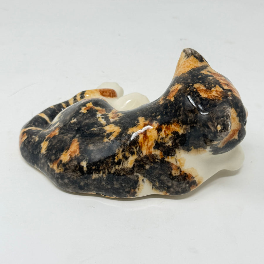 Winstanley Tortie Shelf Hanging Paw Size 2