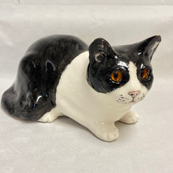 Winstanley Black & White Cat - Size 5