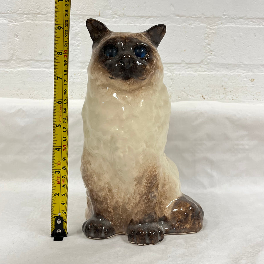 Winstanley Birman / Ragdoll Cat - Size 4
