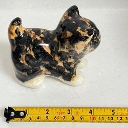 Winstanley Tortoiseshell Kitten - Size 1