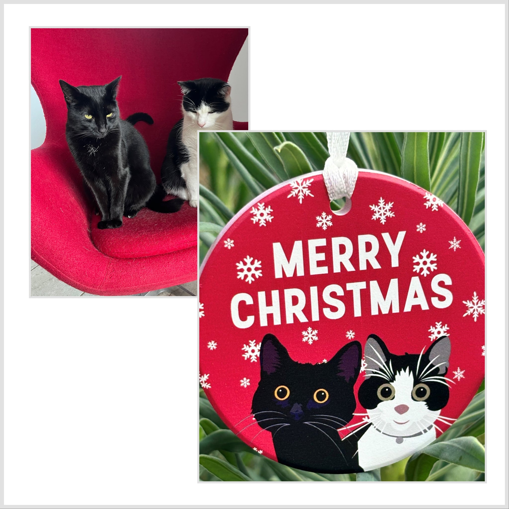 Merry christmas black cat best sale