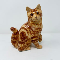 Winstanley Unusual Ginger Cat - Size 3