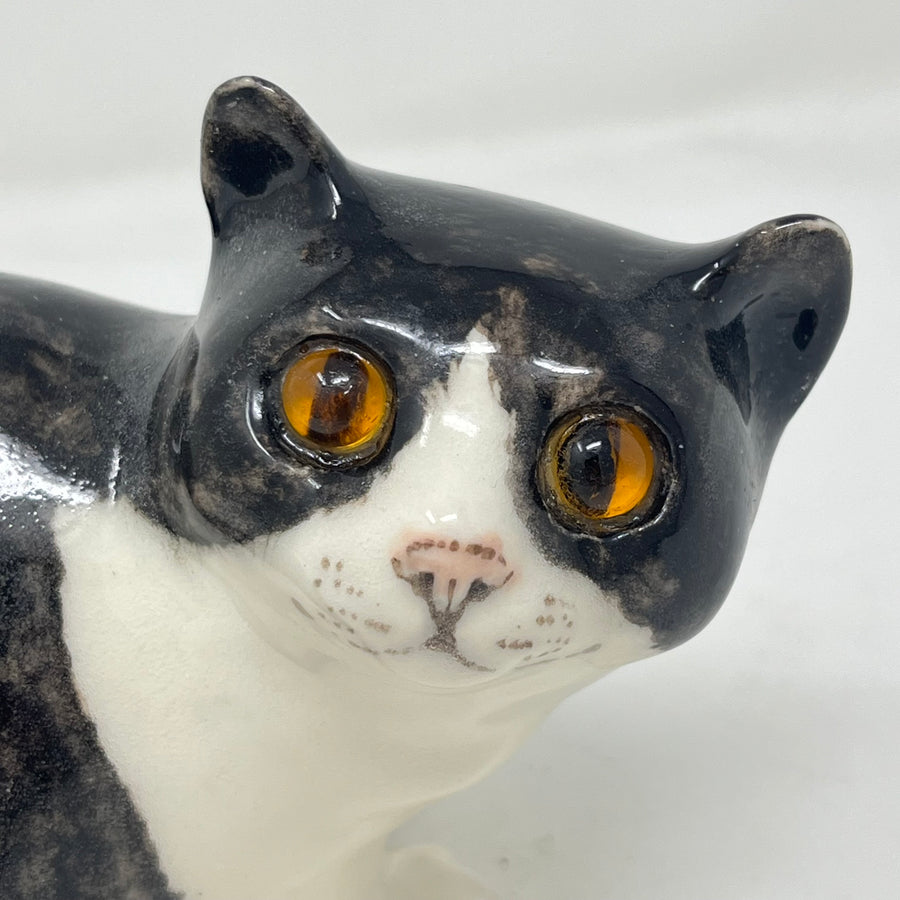 Winstanley Black and White Cat - Size 2