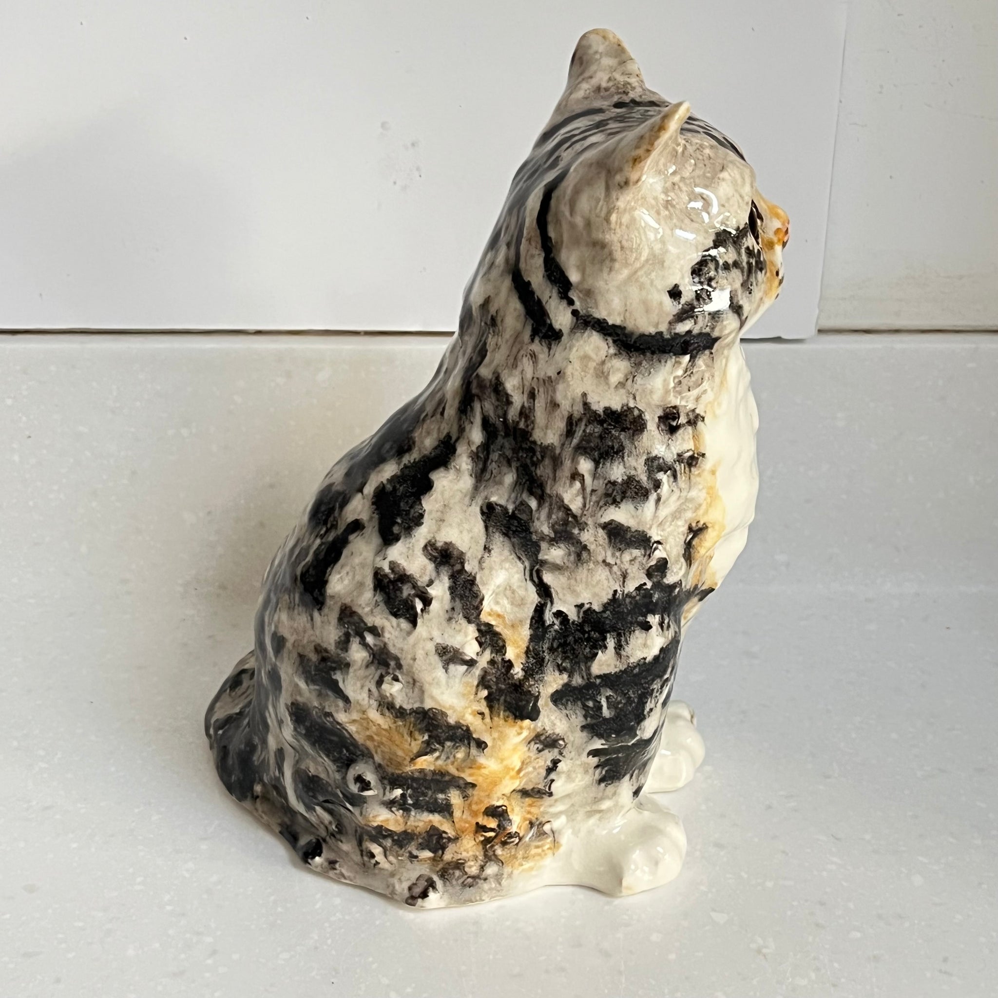 Winstanley Long Haired Tabby - Size 4