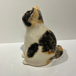 Chubby Calico Winstanley Cat - Size 3