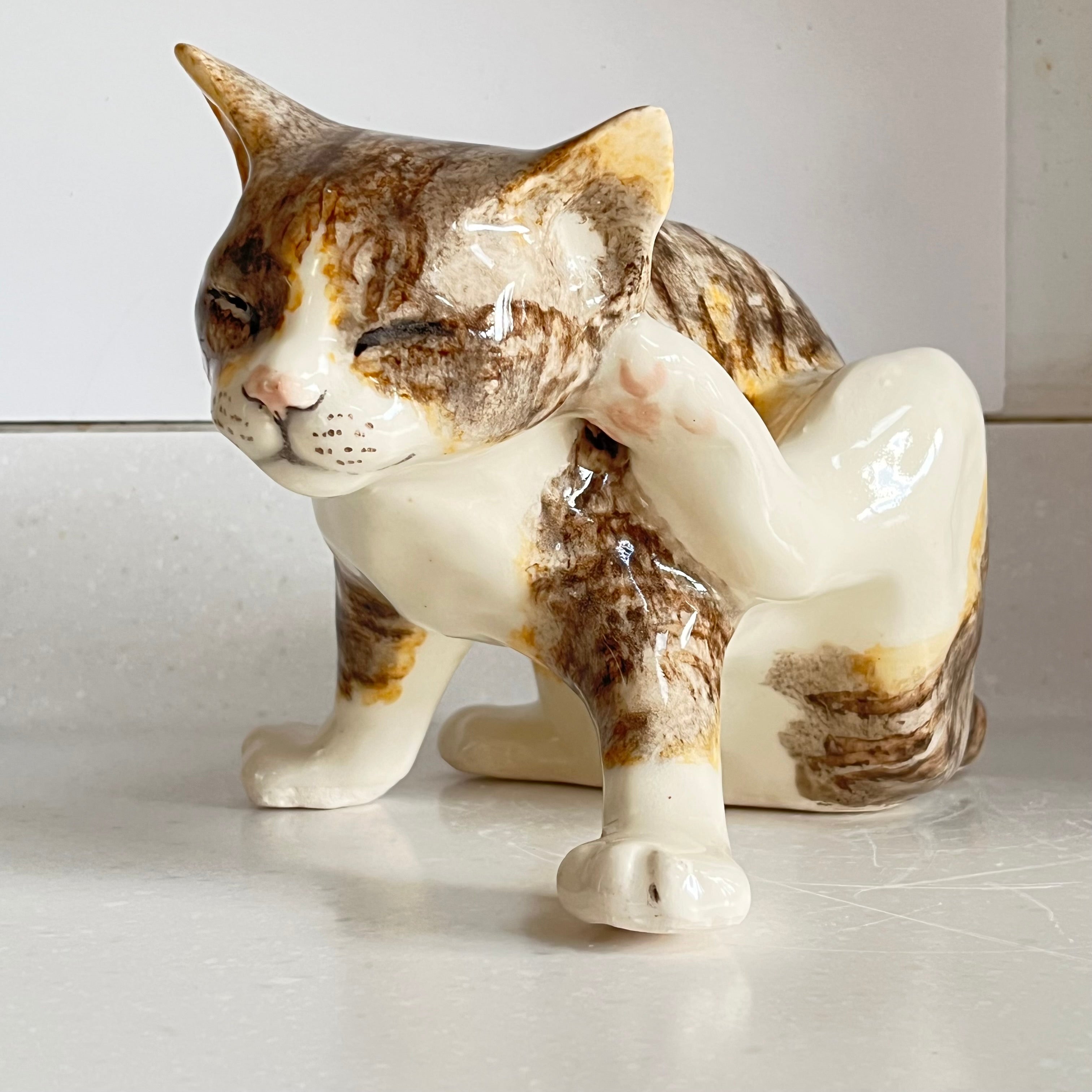 Winstanley Tabby Cat Scratching - Size 5