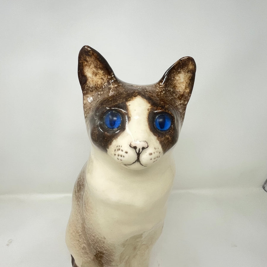Winstanley Siamese Cat Sitting - Size 7