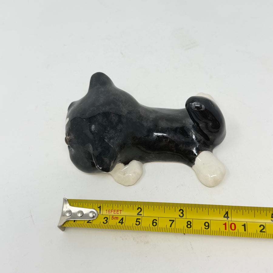 Winstanley Black & White Flat Cat - Size 1