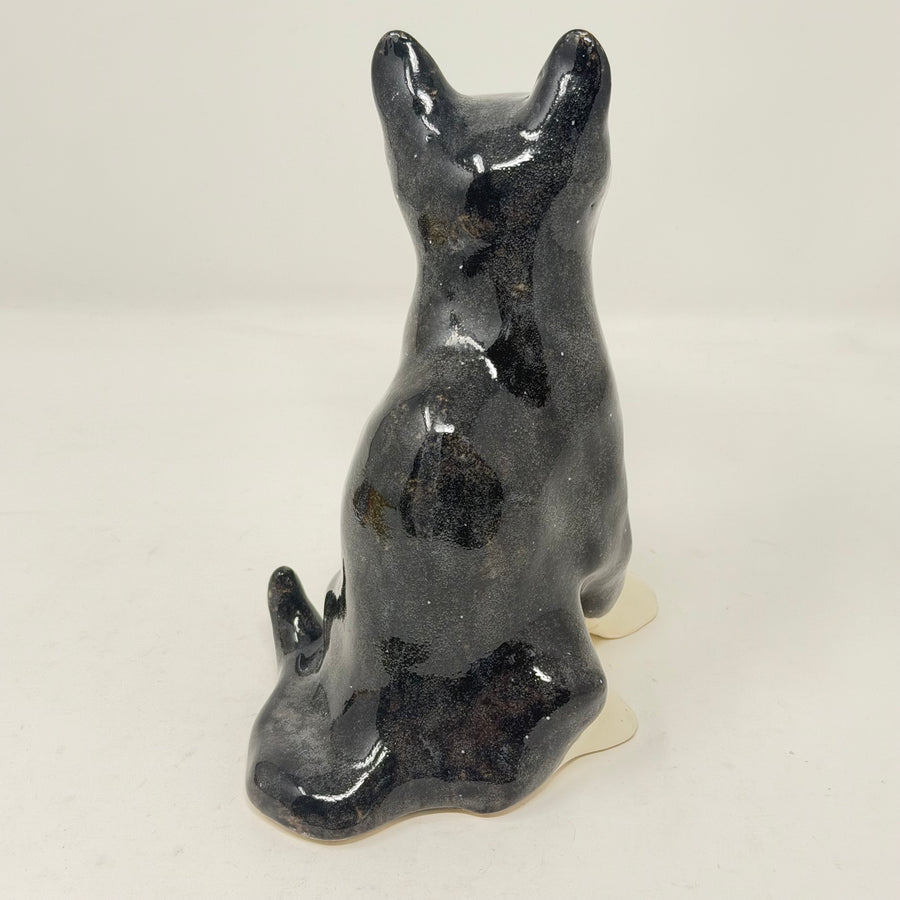 Winstanley Black & White Cat Size 2