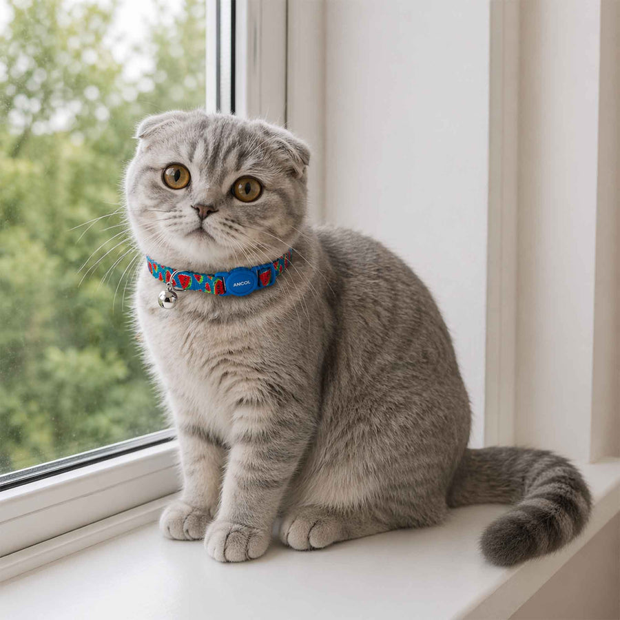Watermelon Design Safety Cat Collar
