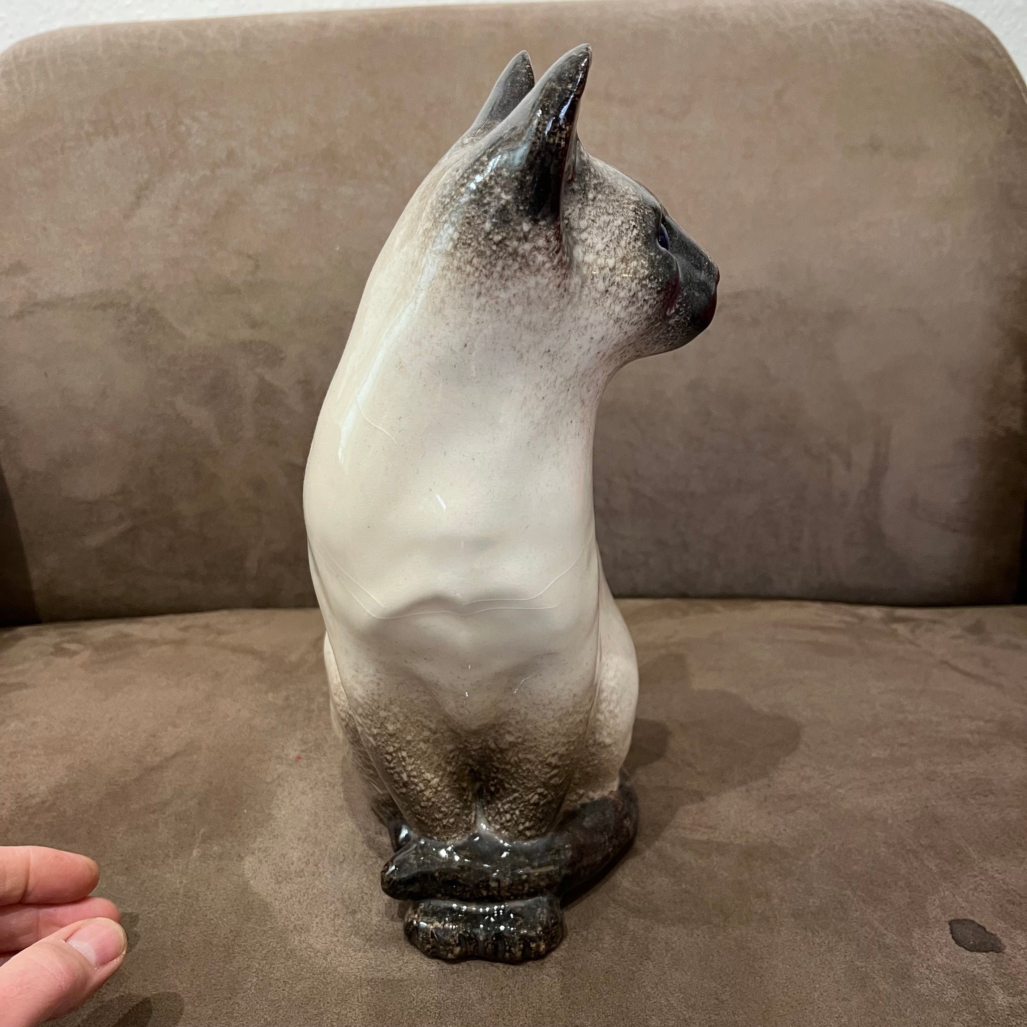 Winstanley Chocolate Point Siamese Cat - Size 5 - reduced price