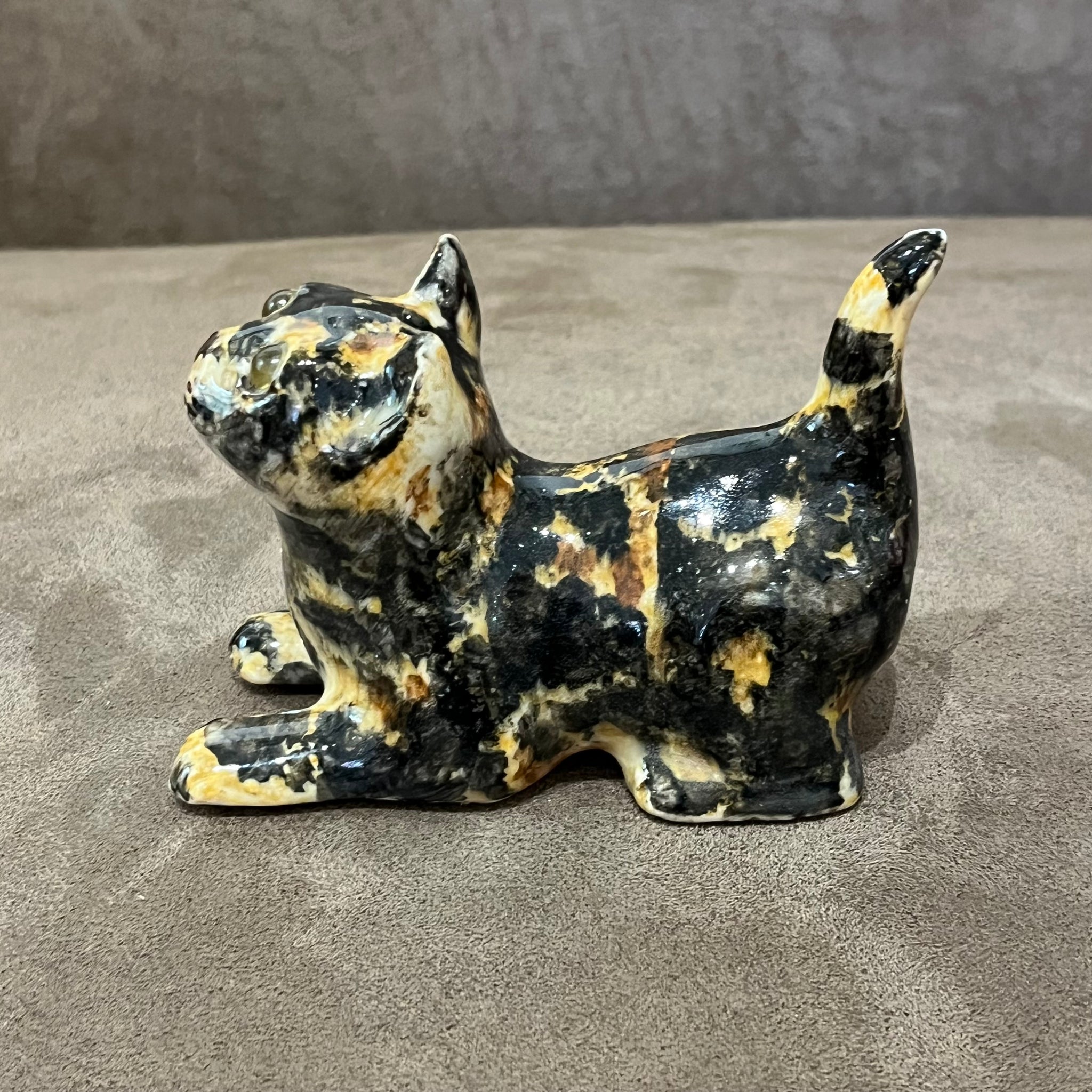 Winstanley Tortie Kitten - Size 1