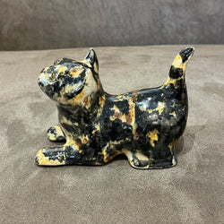 Winstanley Tortie Kitten - Size 1