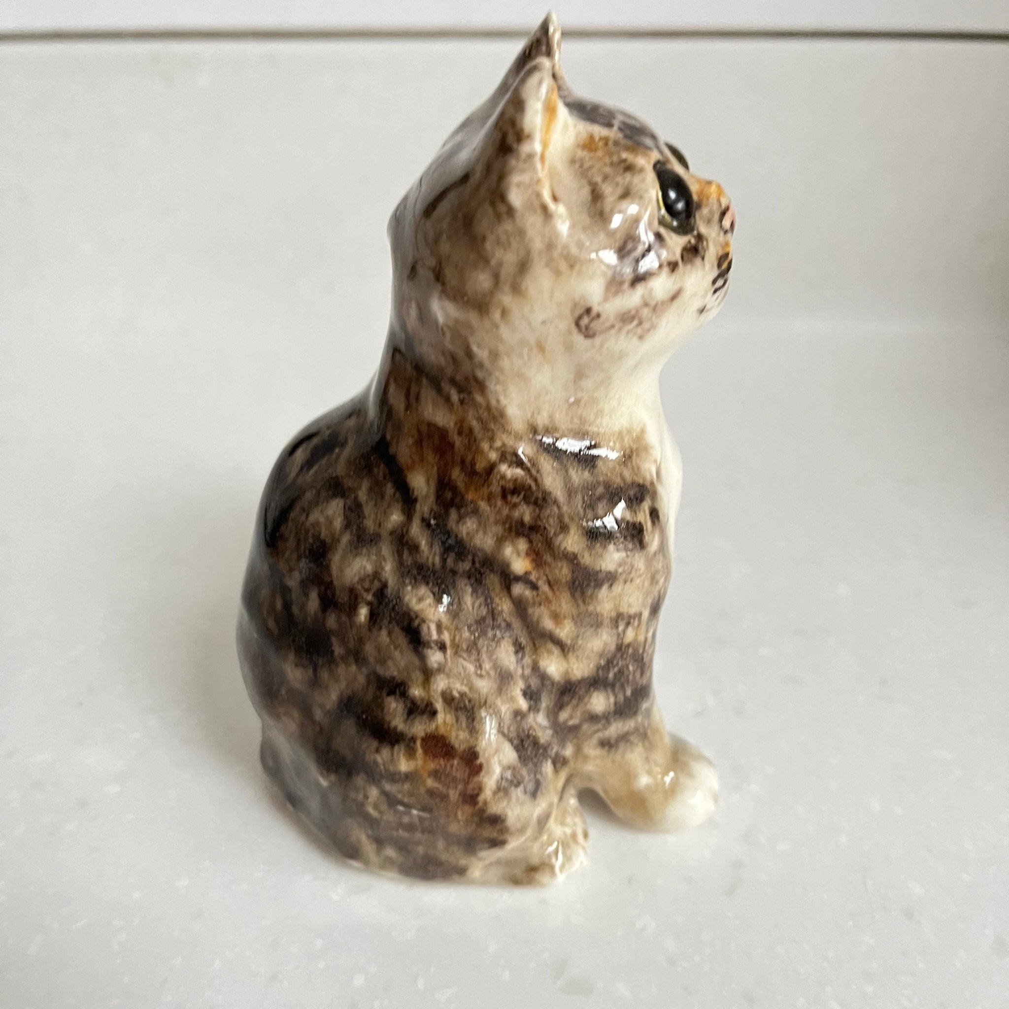 Winstanley Grey Tabby Sitting Kitten - Size 1