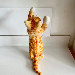 Winstanley Ginger Cat Playing - Size 5