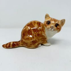 Winstanley Ginger & White Cat Size 2