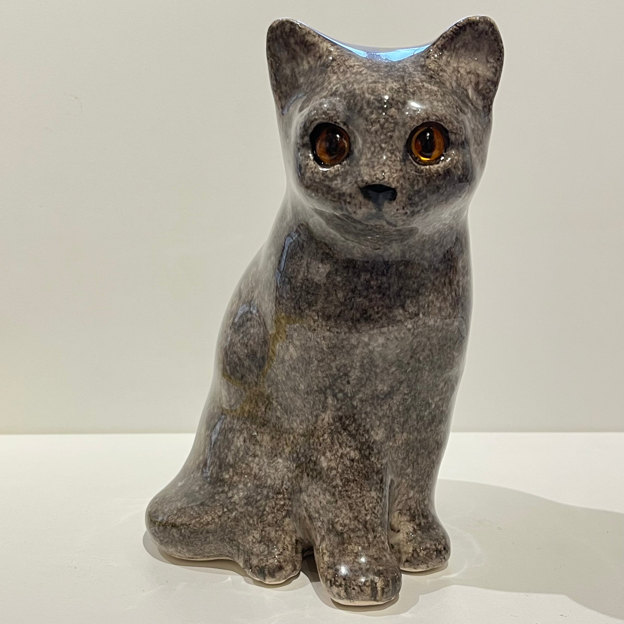 British Blue Grey Winstanley Cat - Size 2