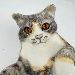 Winstanley Playful Calico Cat - Size 5