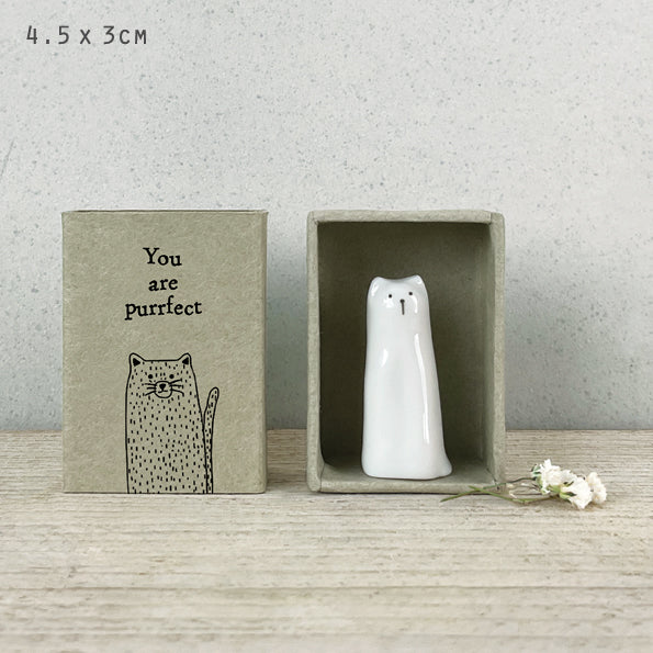 You are Purrfect Matchbox Cat, The Cat Gallery