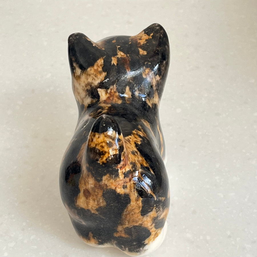 Winstanley Tortie and White Kitten - Size 1