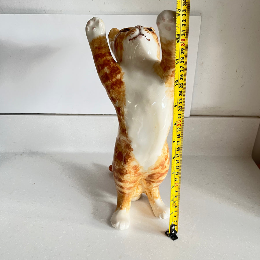 Winstanley Ginger Cat Playing - Size 5