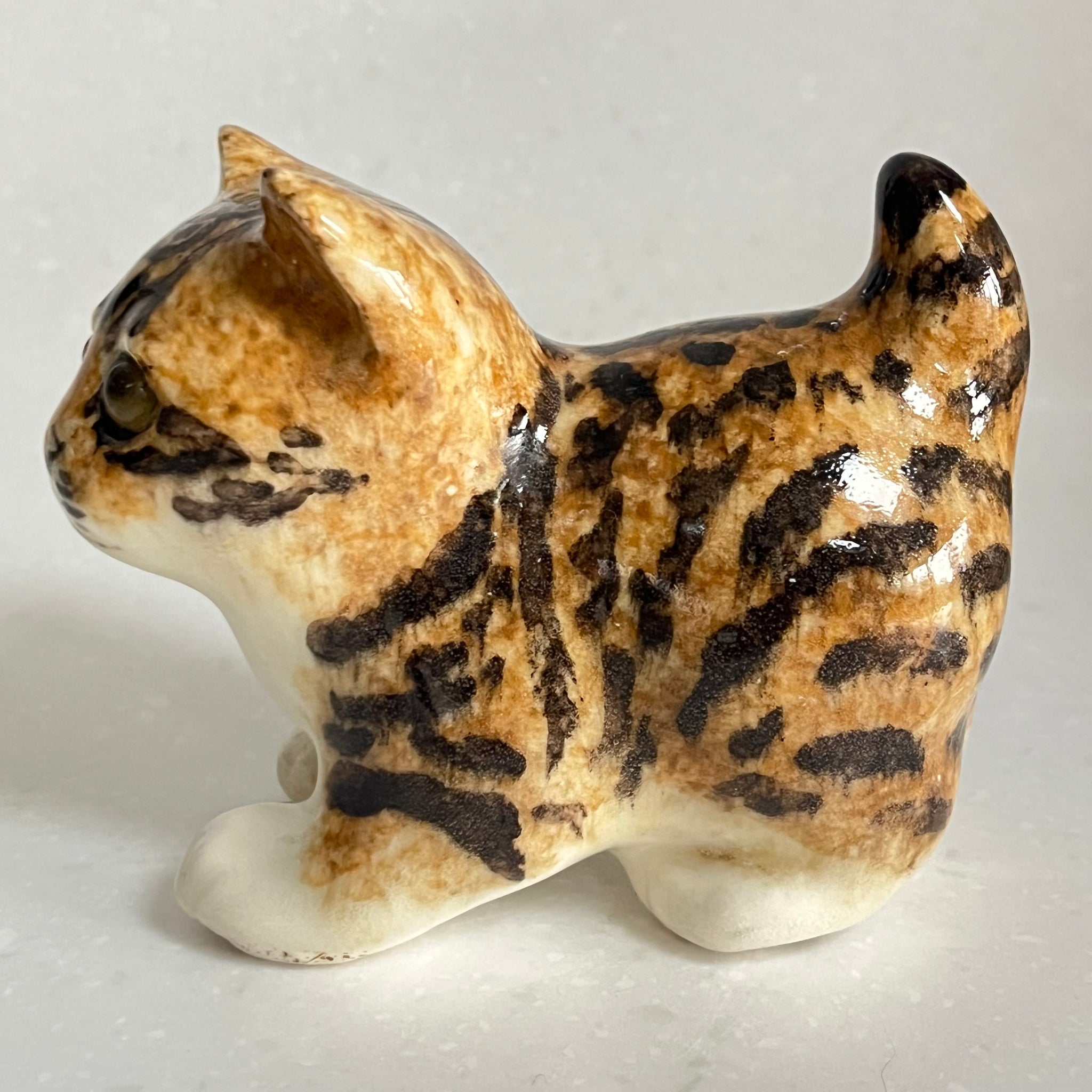 Winstanley Bengal Kitten - Size 1